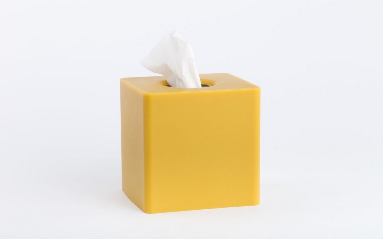 french tissue box cover